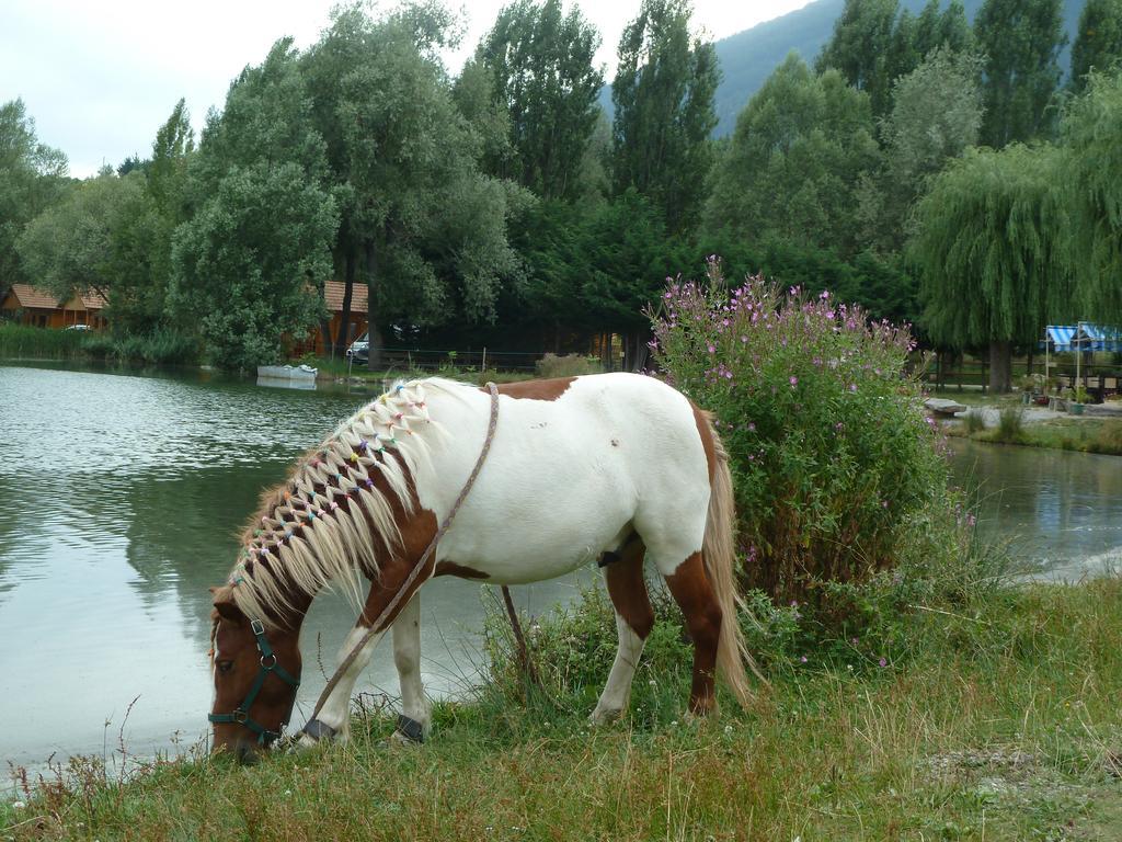 Camping La Motte Flottante Ла-Фрессинуз Экстерьер фото