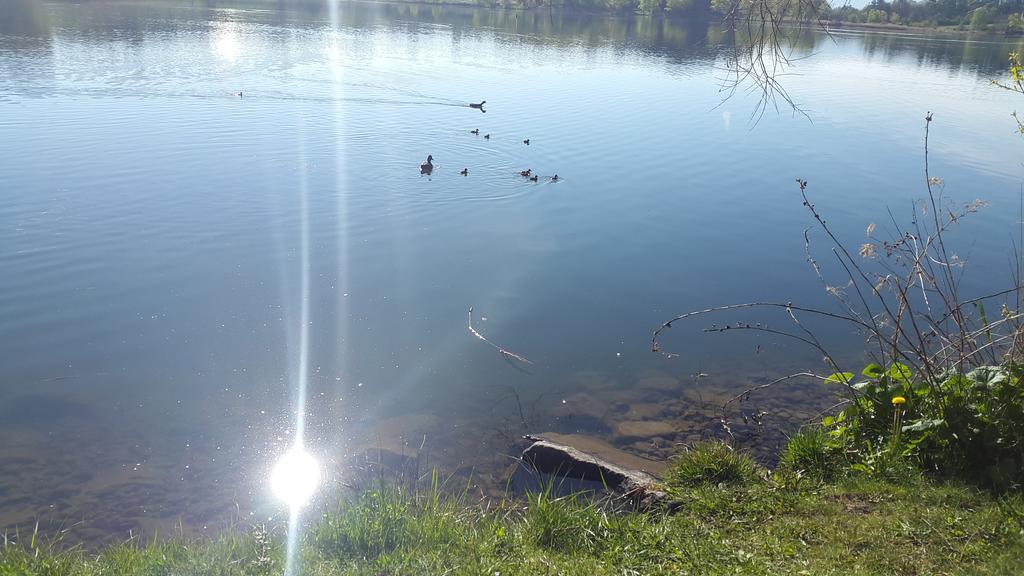 Camping La Motte Flottante Ла-Фрессинуз Экстерьер фото
