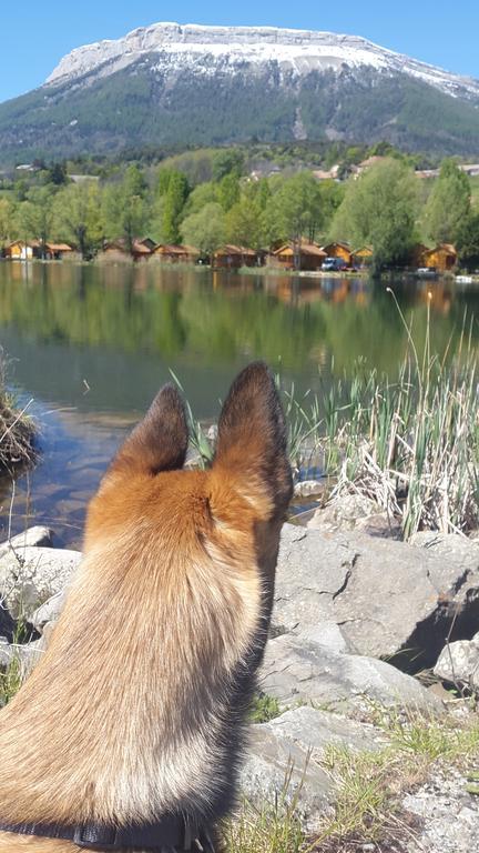 Camping La Motte Flottante Ла-Фрессинуз Экстерьер фото